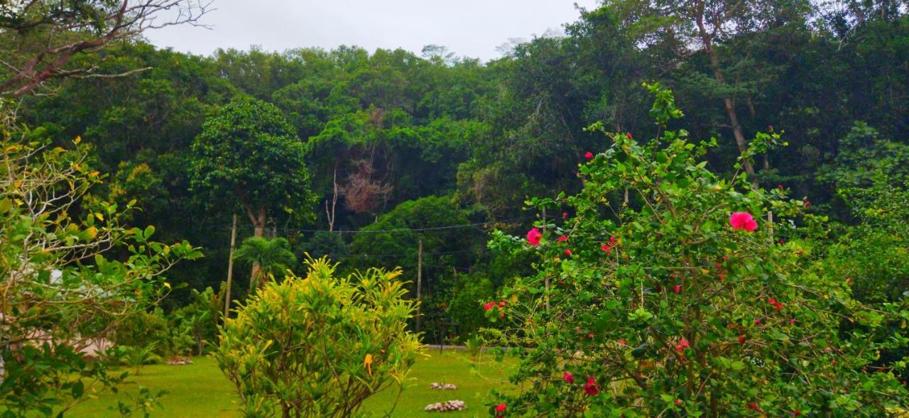 Dan Zoranz Self Catering Guest House La Digue Exteriör bild
