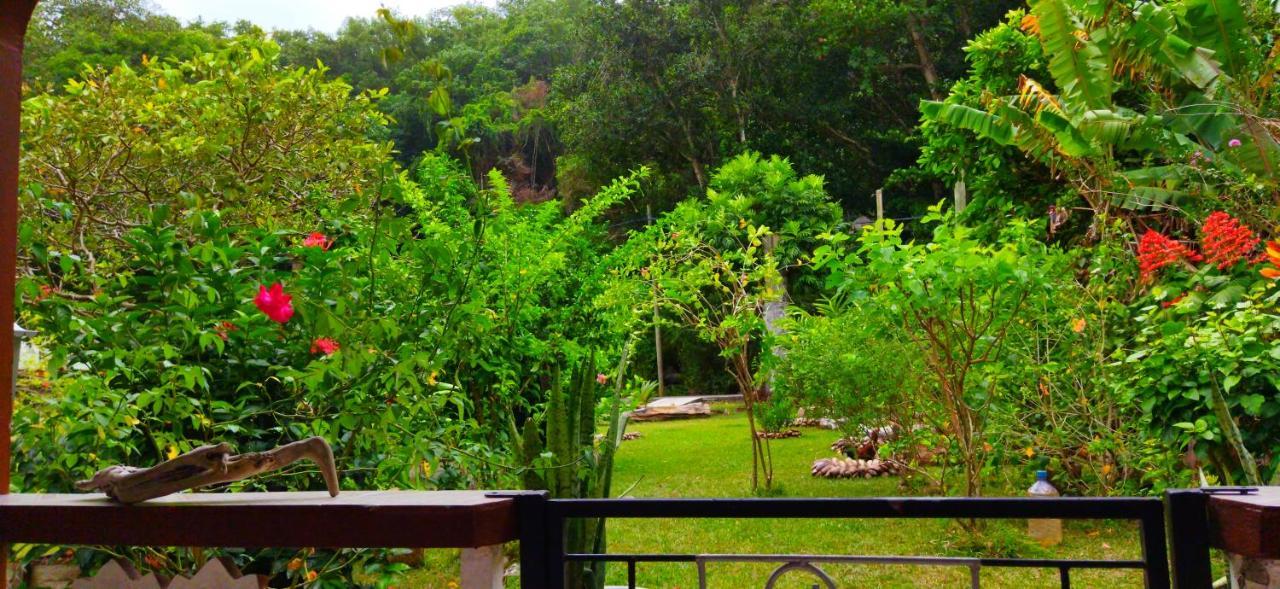 Dan Zoranz Self Catering Guest House La Digue Exteriör bild