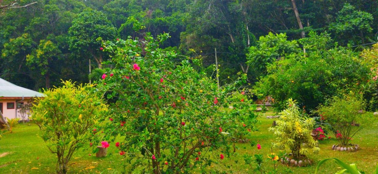 Dan Zoranz Self Catering Guest House La Digue Exteriör bild
