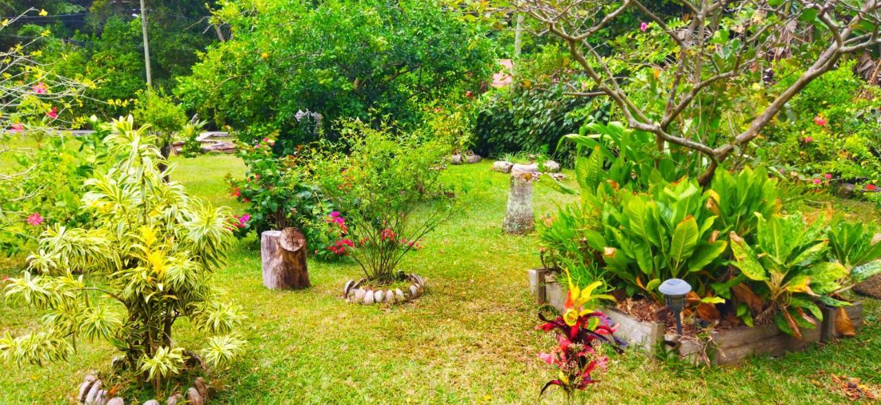 Dan Zoranz Self Catering Guest House La Digue Exteriör bild