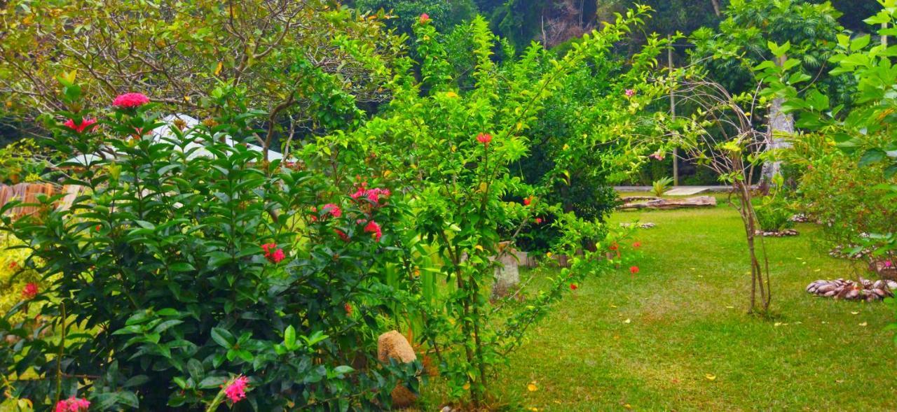 Dan Zoranz Self Catering Guest House La Digue Exteriör bild