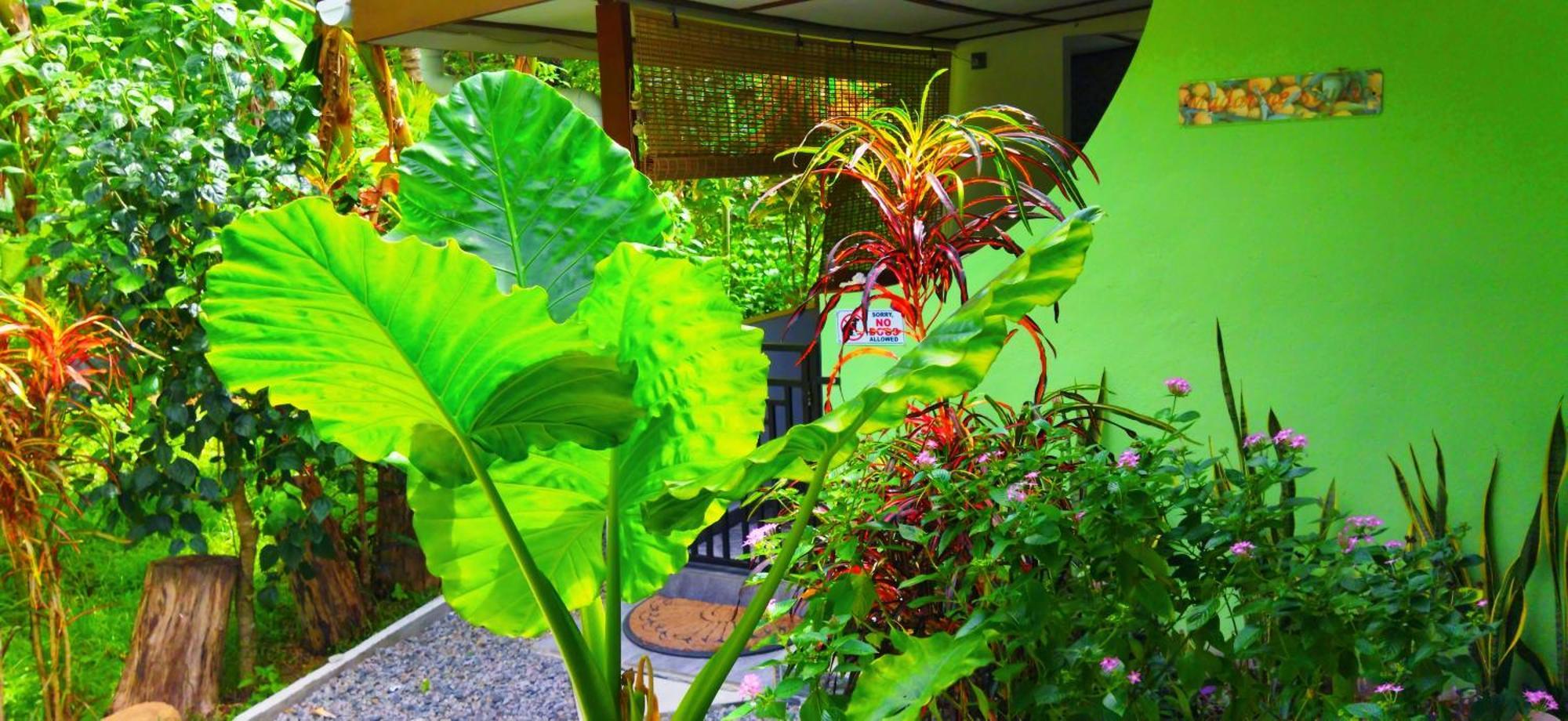 Dan Zoranz Self Catering Guest House La Digue Exteriör bild